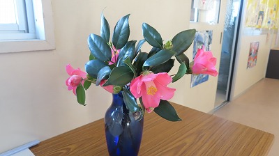 IMG_7662
