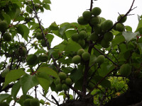 DSC01363