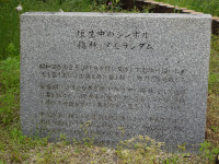 DSC01365