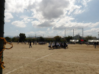 IMGP0148