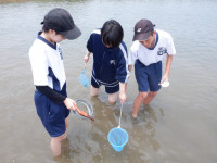 DSCF5415