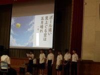IMGP2353