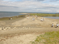 IMGP0169