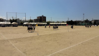 WIN_20261001_11_29_30_Pro