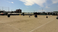 WIN_20261001_11_54_12_Pro