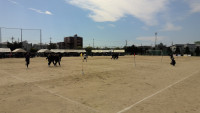 WIN_20261001_11_54_40_Pro