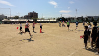 WIN_20261001_12_08_30_Pro