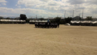 WIN_20261002_11_12_05_Pro