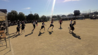 WIN_20261003_08_54_04_Pro