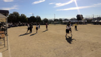 WIN_20261003_09_02_57_Pro