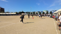 WIN_20261003_09_03_04_Pro