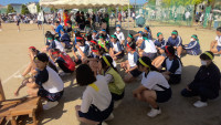WIN_20261003_09_11_19_Pro