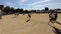 WIN_20261003_09_11_42_Pro