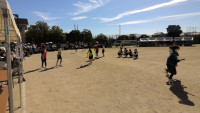 WIN_20261003_09_13_03_Pro