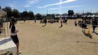 WIN_20261003_09_16_50_Pro