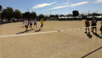 WIN_20261003_09_30_17_Pro