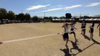 WIN_20261003_09_29_24_Pro