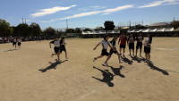 WIN_20261003_09_28_37_Pro