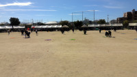 WIN_20261003_09_57_51_Pro