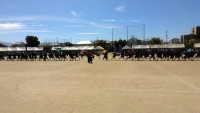 WIN_20261003_10_11_15_Pro