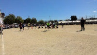 WIN_20261003_11_23_36_Pro