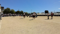 WIN_20261003_11_24_07_Pro